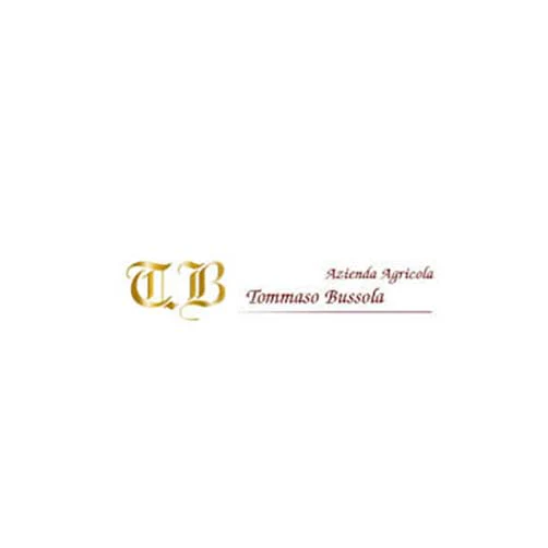 Amarone della Valpolicella Classico DOCG 2019 - Tommaso Bussola - Image 2