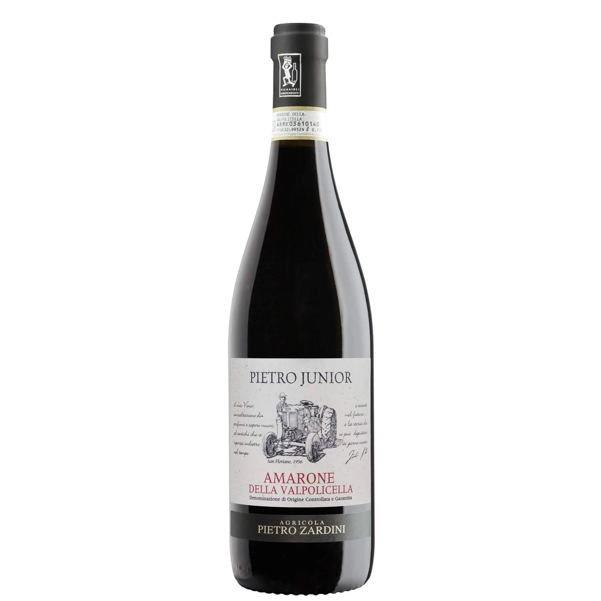 Amarone della Valpolicella Classico DOCG "Pietro Junior" 2021 - Pietro Zardini