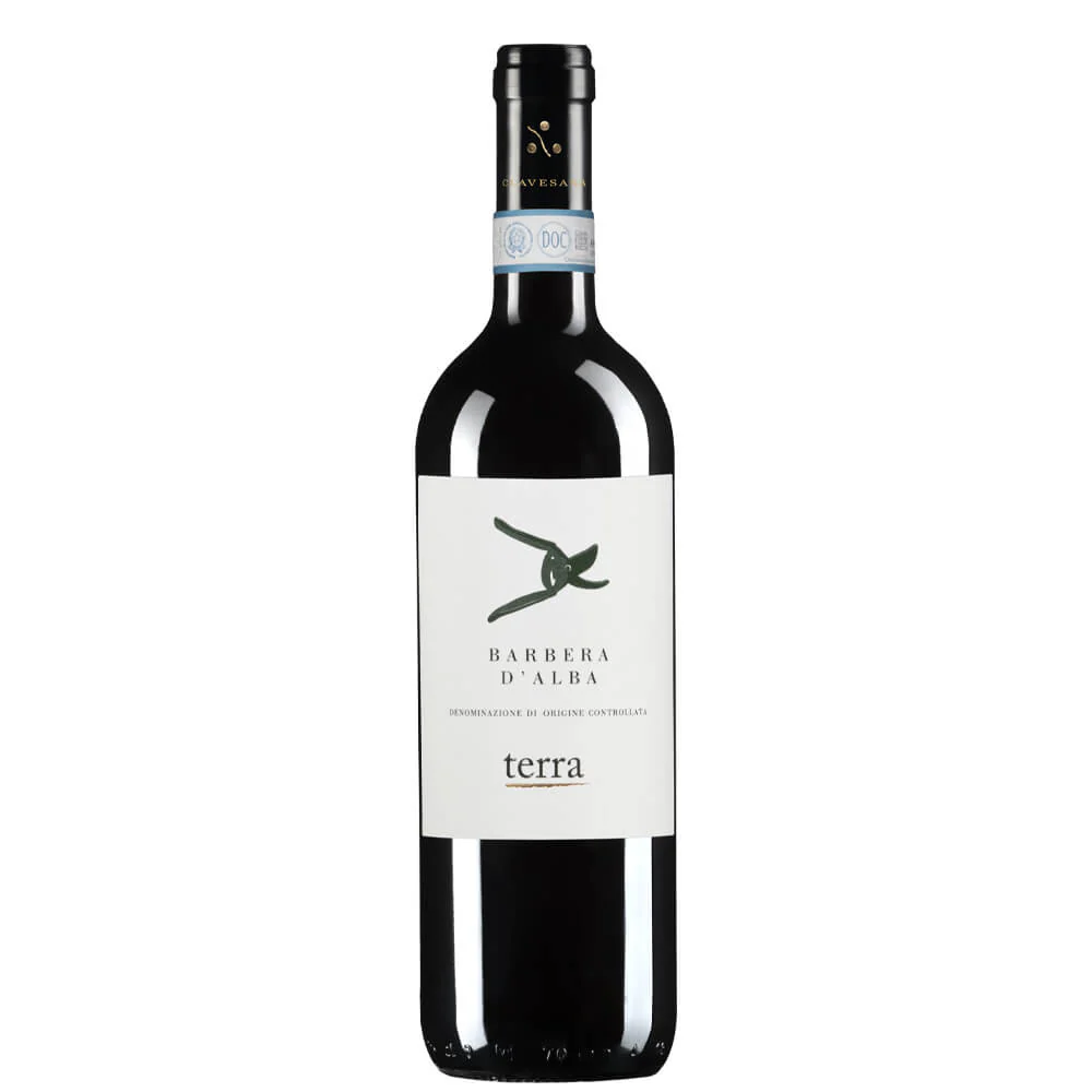 Barbera d’Alba DOC 2024 - Clavesana