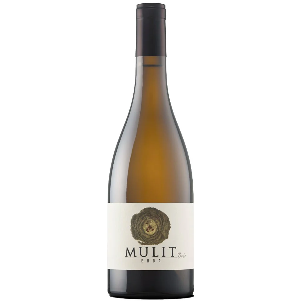 Belo 2023 - Mulit - Image 2