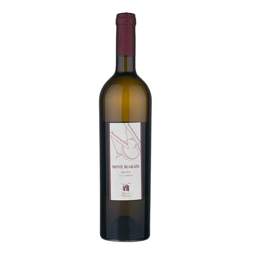 Campania Bianco IGT 2022 - Monte di Grazia