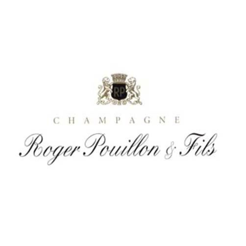 Champagne Extra Brut Grand Cru "Les Valnons" 2018 - Roger Pouillon et Fils - Image 2