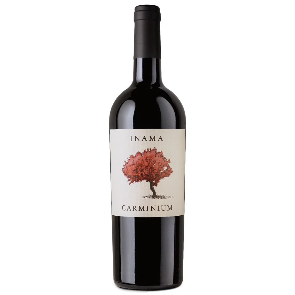 Colli Berici Carmenere DOC "Carminium" 2023 - Inama