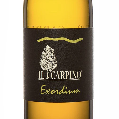 Friulano IGT “Exordium” 2020 - Il Carpino - Image 2