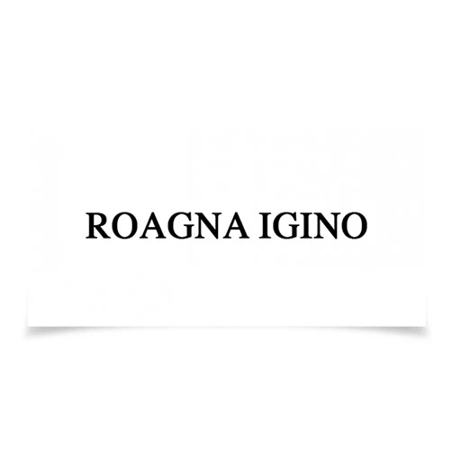 Langhe Bianco DOC 2023 - Roagna - Image 2