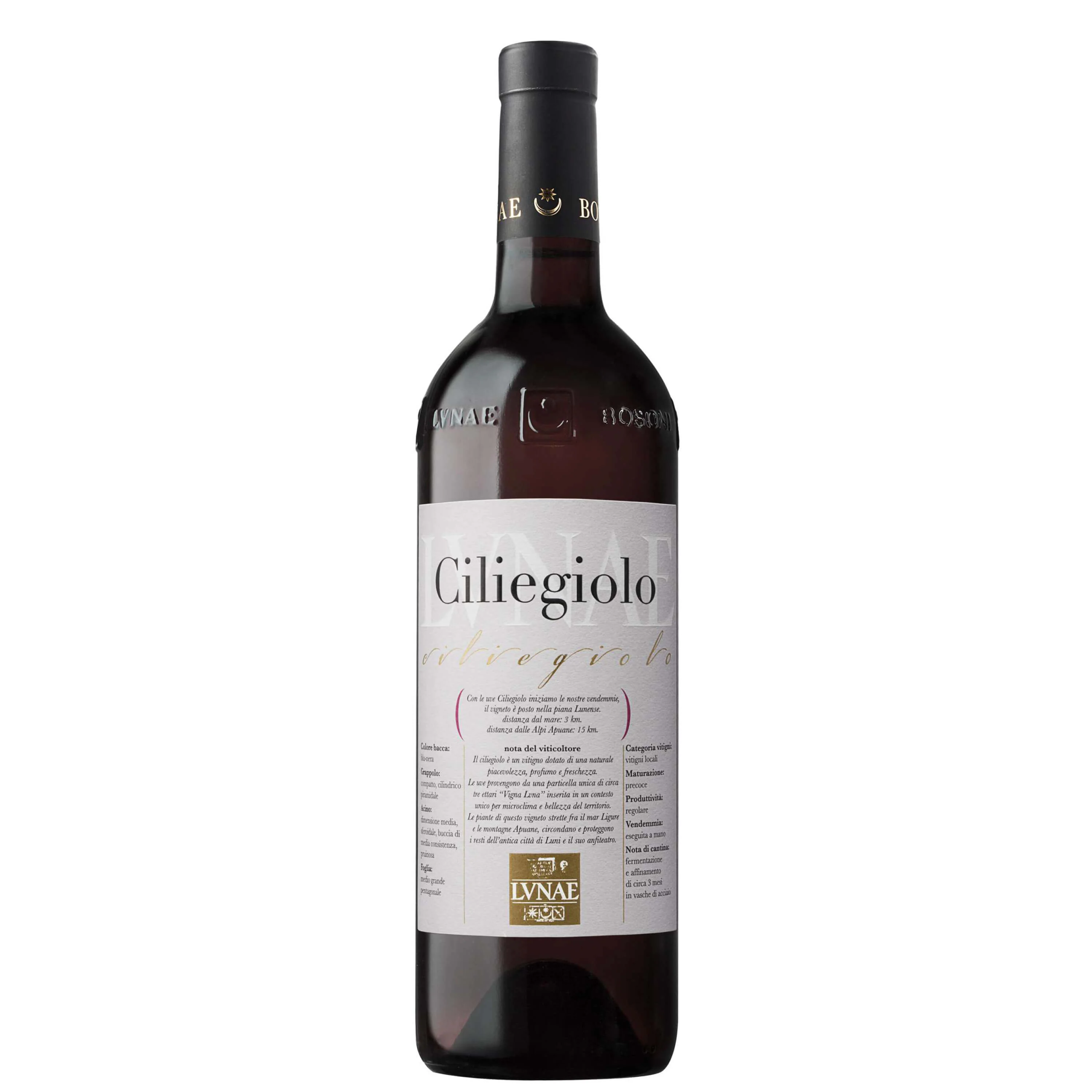 Liguria di Levante Ciliegiolo IGT 2025 - Lunae