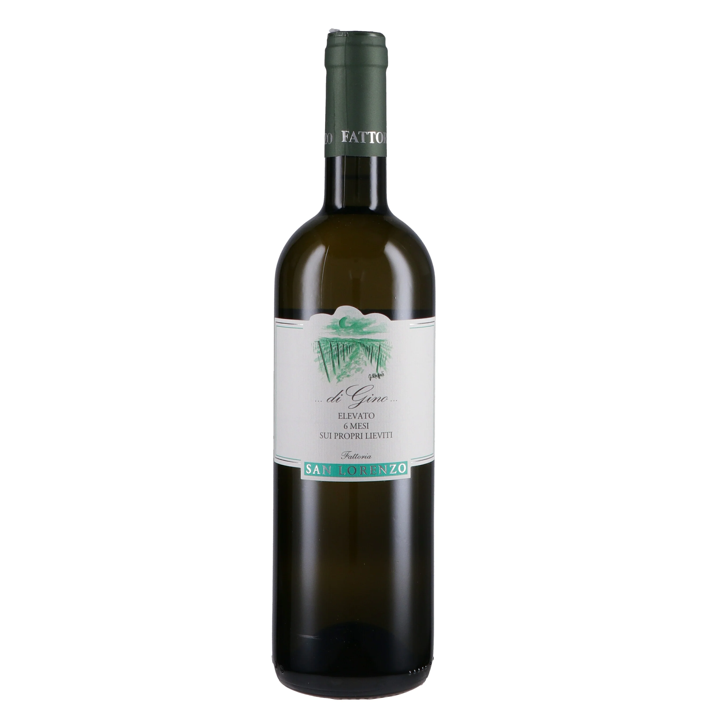 Marche Bianco IGT "di Gino" 2024 - Fattoria San Lorenzo - Image 2