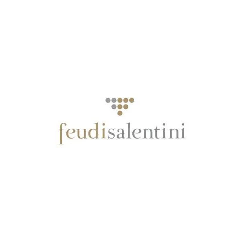 Primitivo di Manduria DOP "Gocce" 2021 - Feudi Salentini - Image 2
