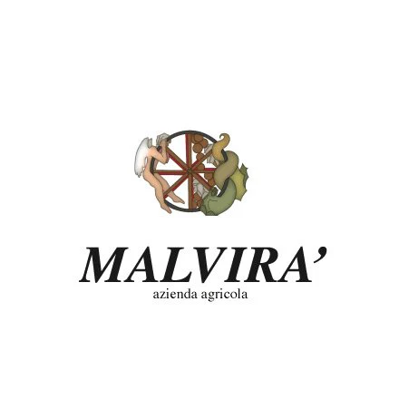 Roero Arneis DOCG âTrinitĂ â 2023 - MalvirĂ - Image 3
