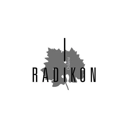Venezia Giulia Rosso IGT "Pignoli" 2013 - Radikon (50 cl) - Image 2
