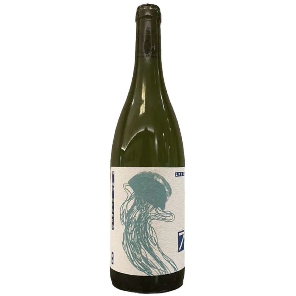 Vino Bianco - Sette