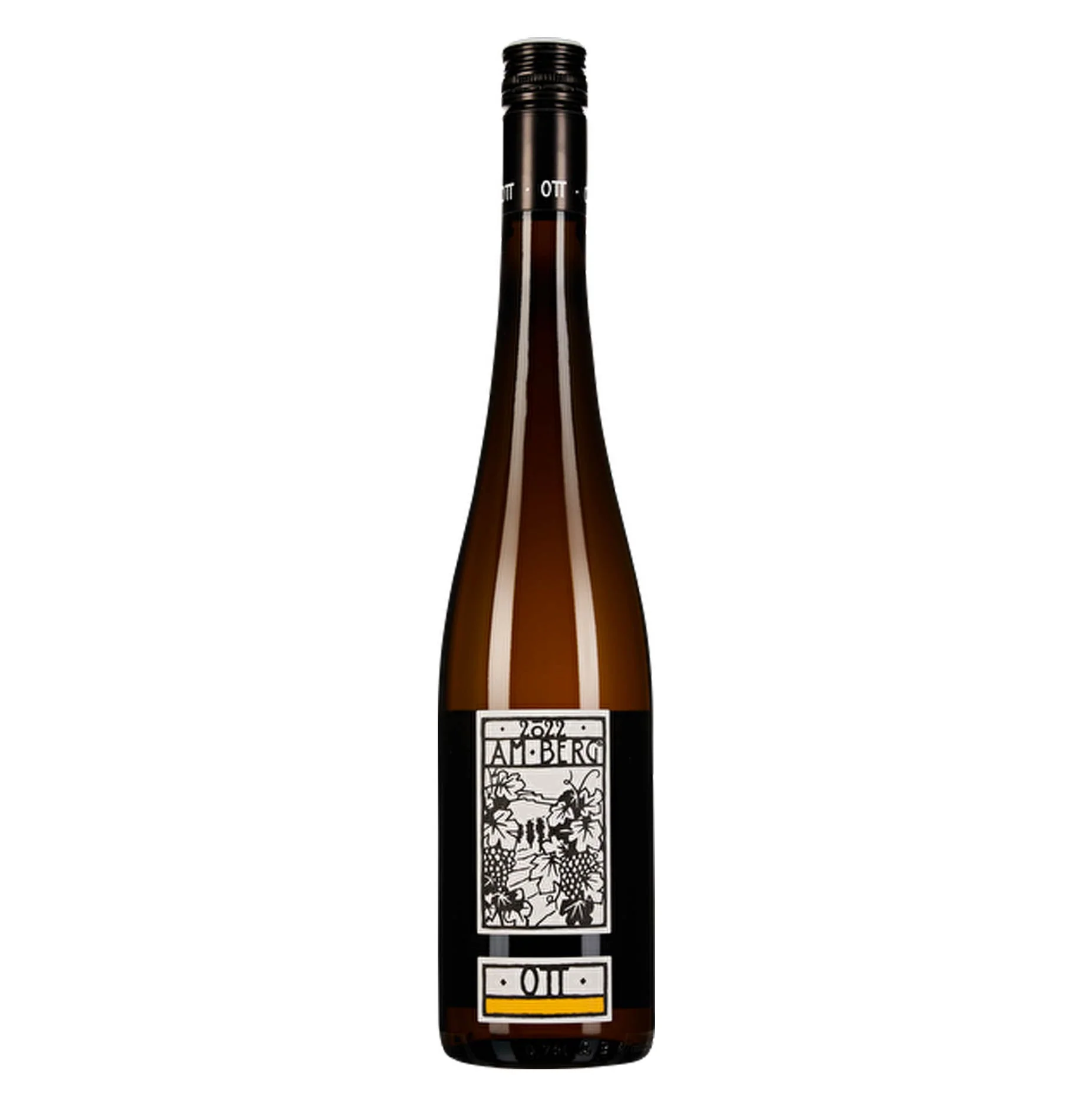 Wagram GrĂźner Veltliner DO âAm Bergâ 2025 - Weingut Ott